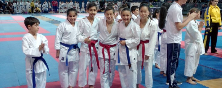 Campeonato Alevín, Infantil y juvenil del karate canario