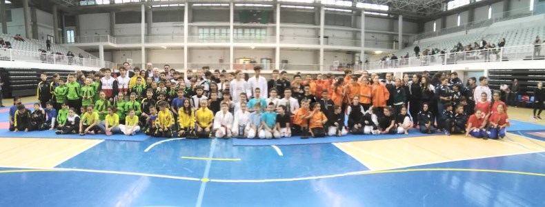 Campeonato de Canarias de Karate